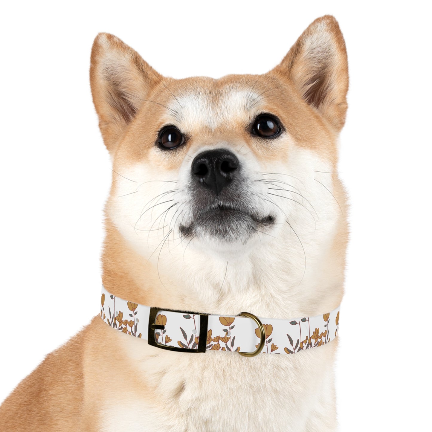 Boho Tulip flower Dog Collar