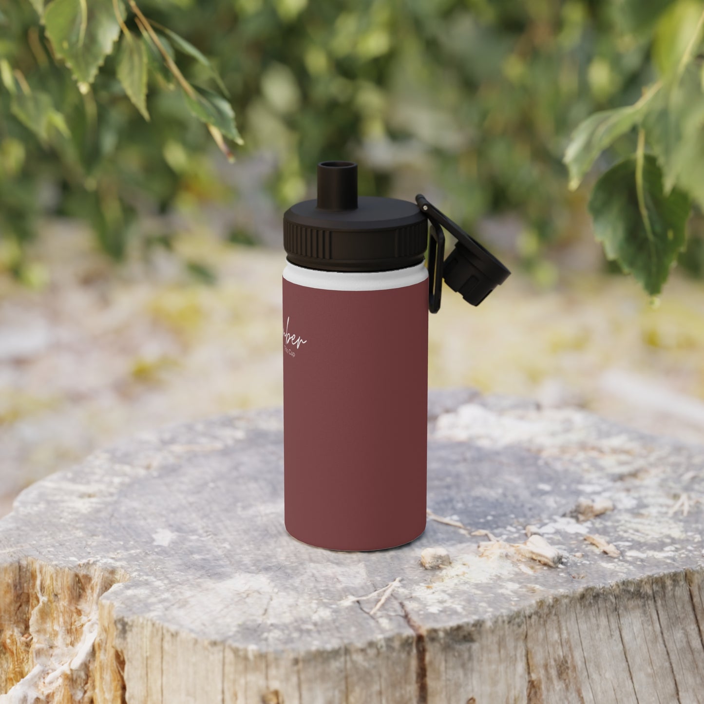 Remember this Stainless Steel Water Bottle, Sports Lid