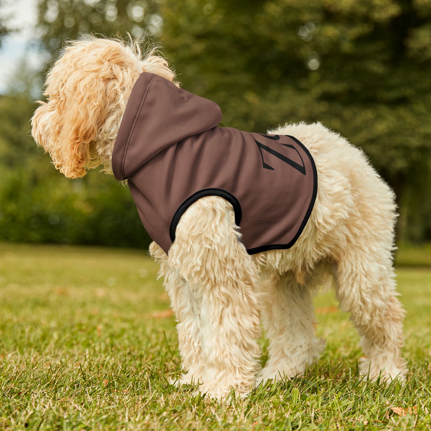 Personalized Pet Hoodie- Mauve